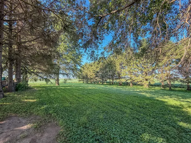 780
