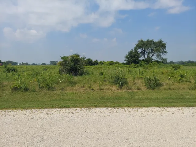 780