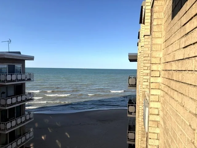 780