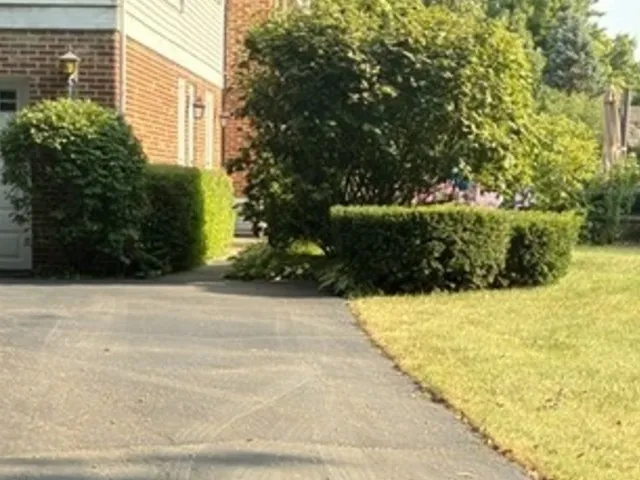 780