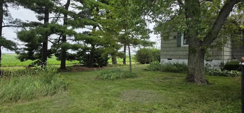 780