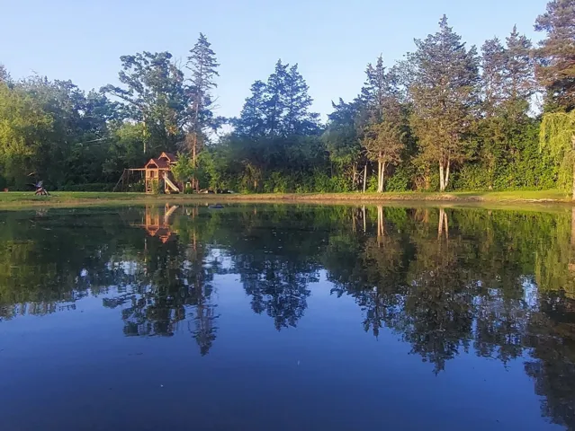 780