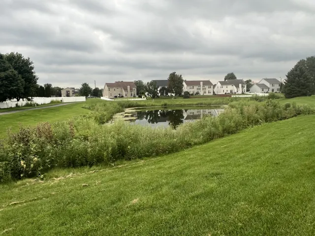 780