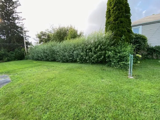 780