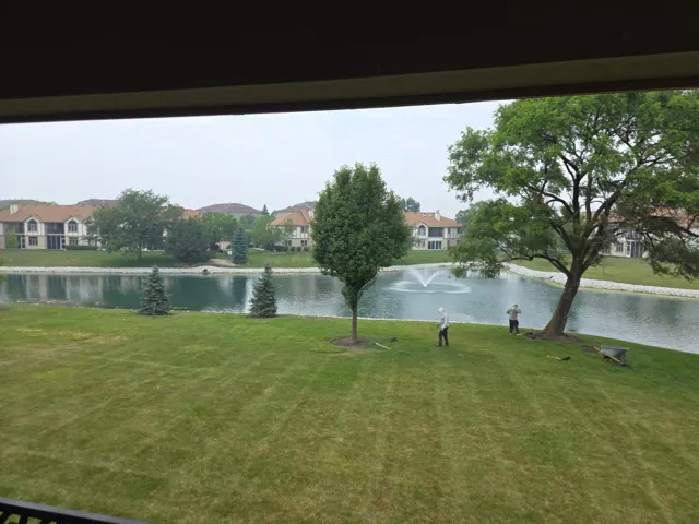 780
