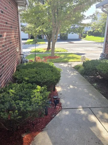780