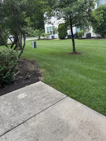 780