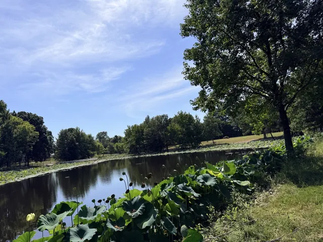 780