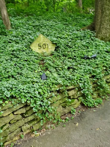 780