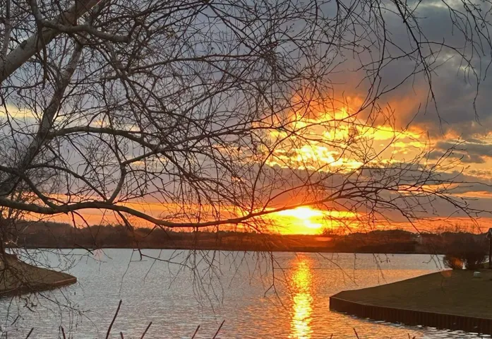 780