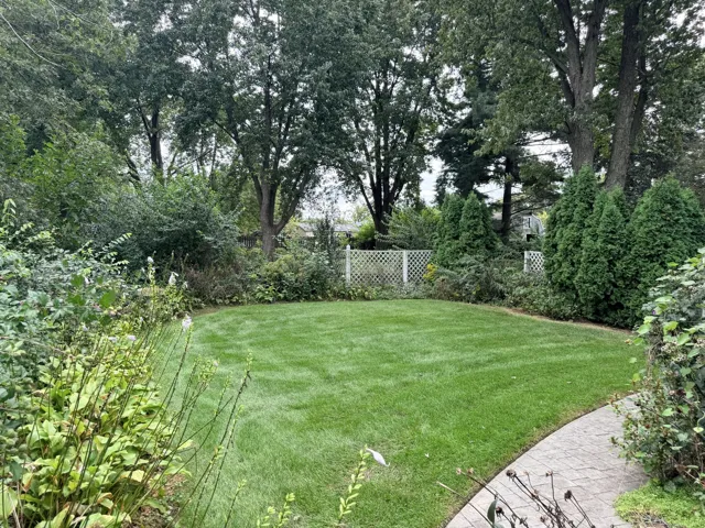 780