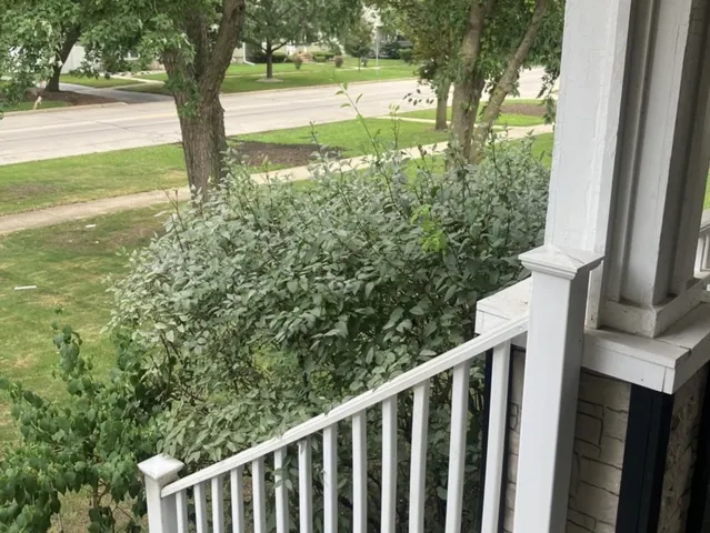 780