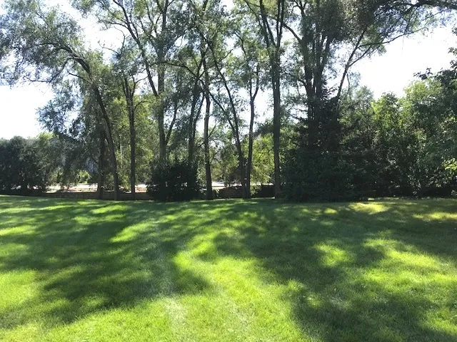 780