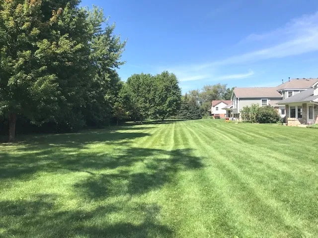 780