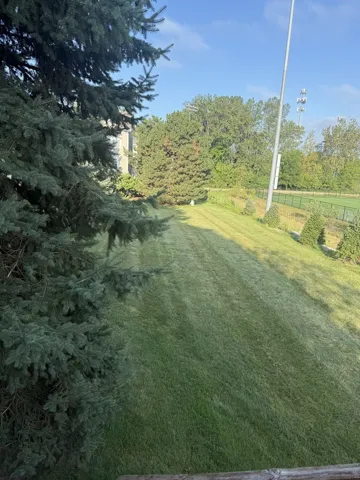 780