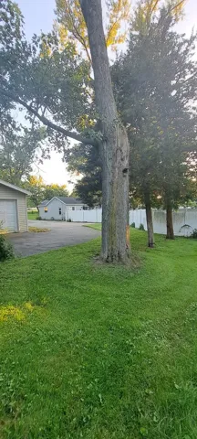 780