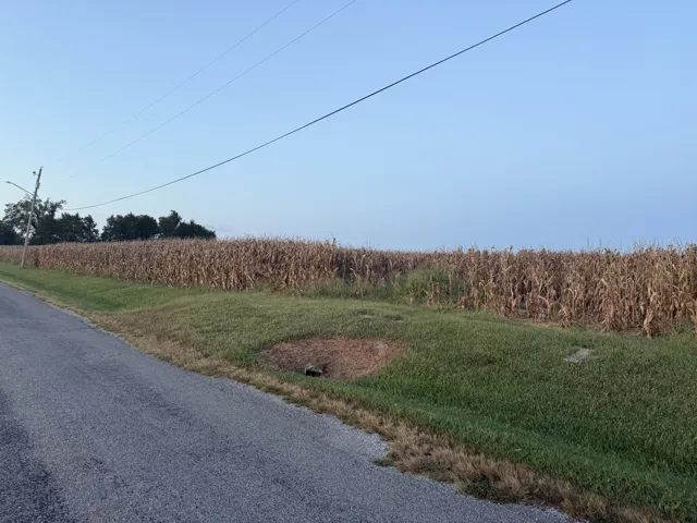 780