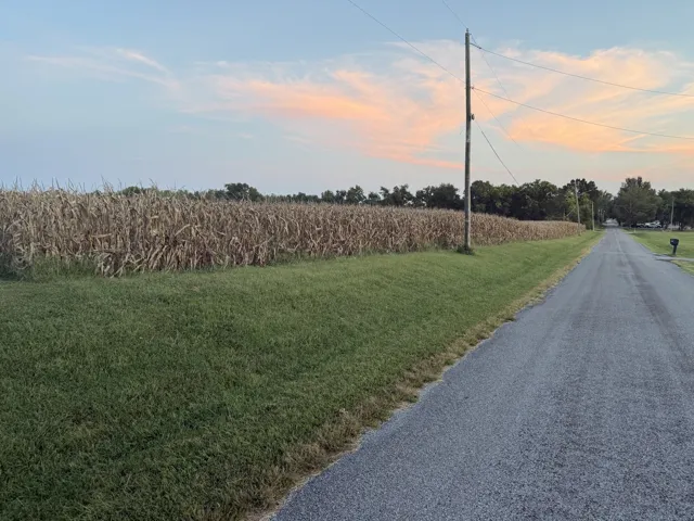 780
