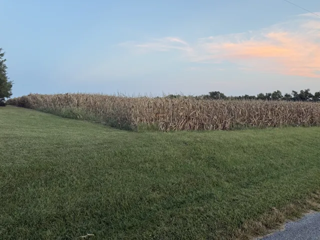 780