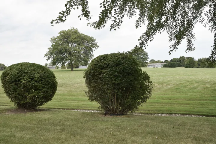 780