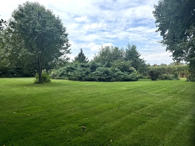 780