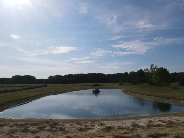 780