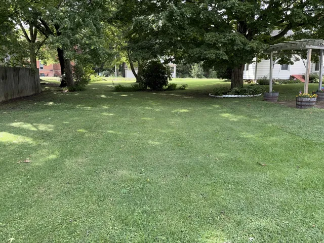 780