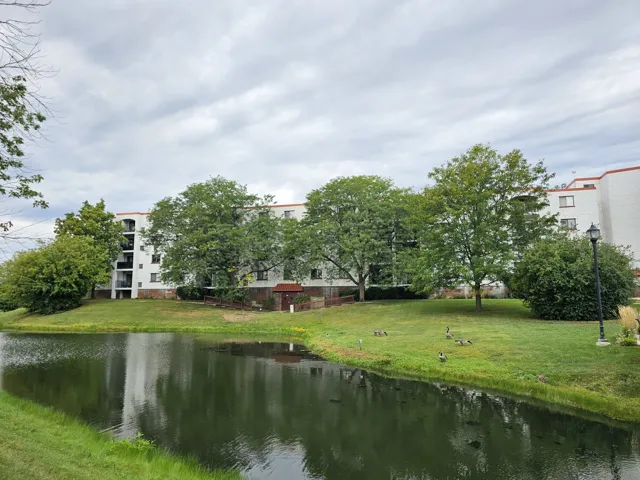 780