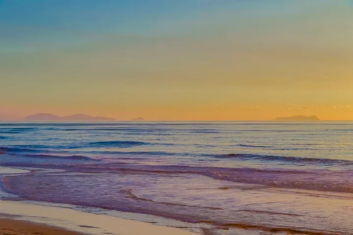 780