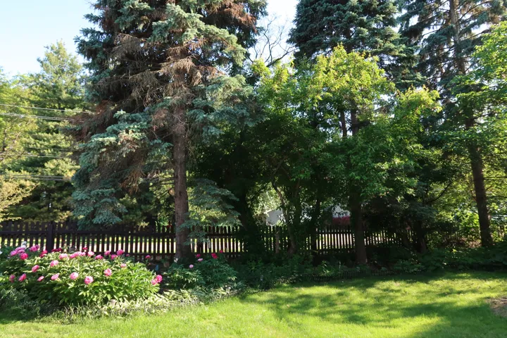 780