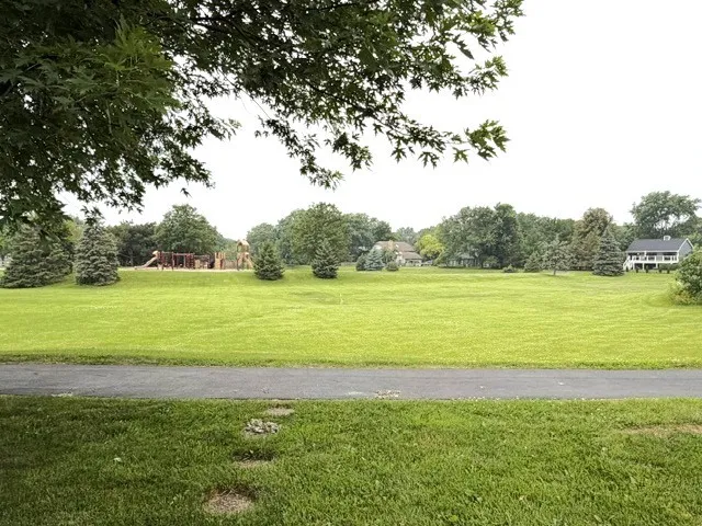 780