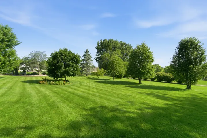 780