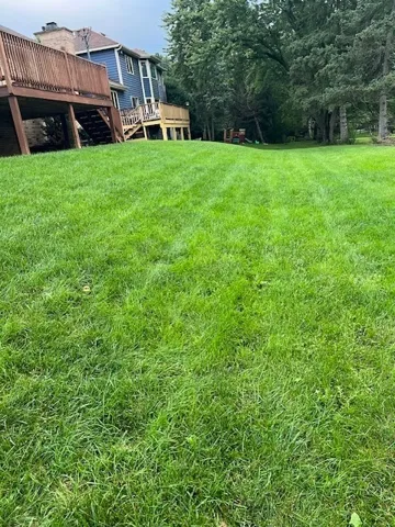 780