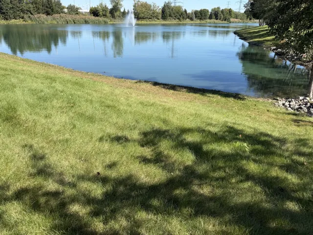 780