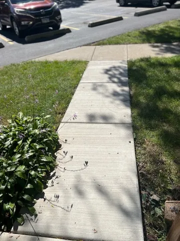 780