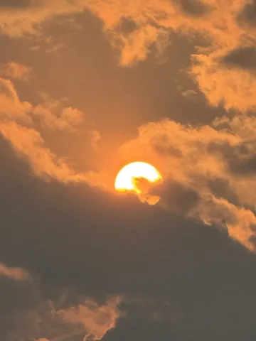 780