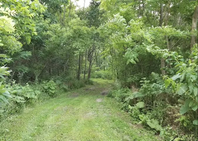 780