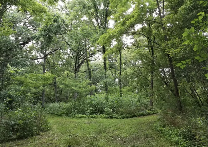 780