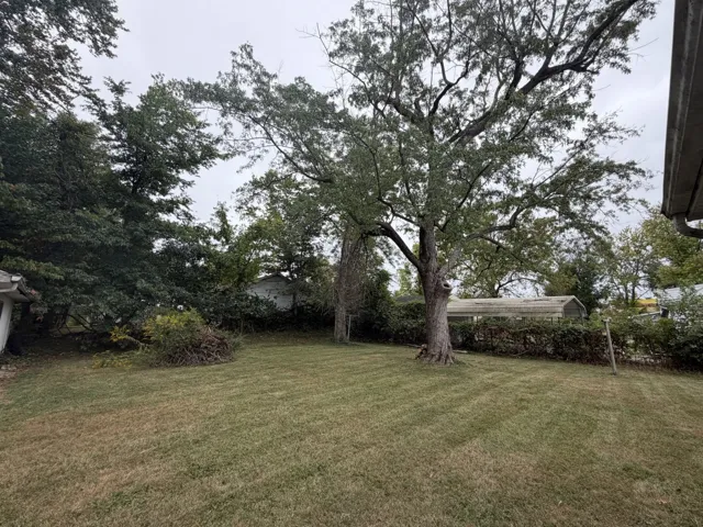 780
