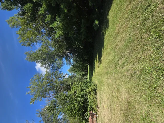 780