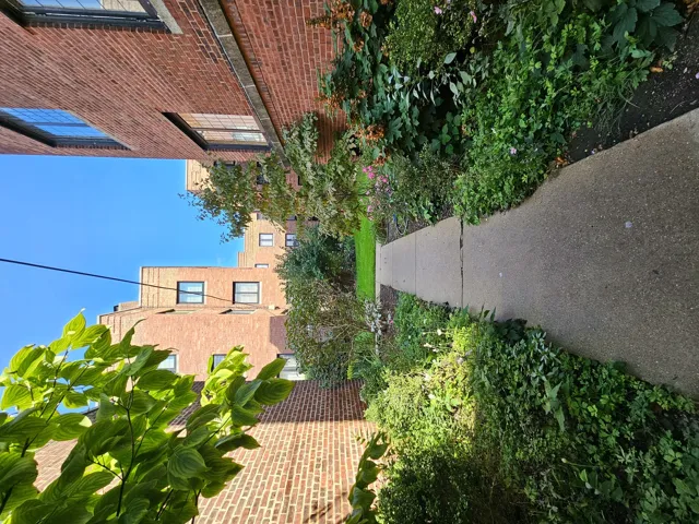 780
