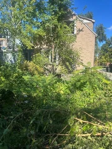 780