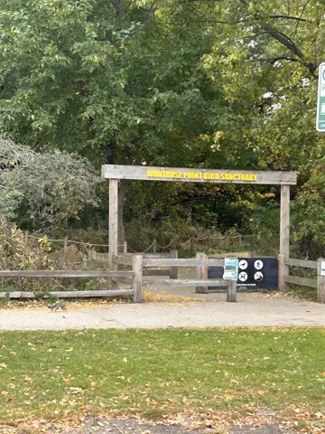780
