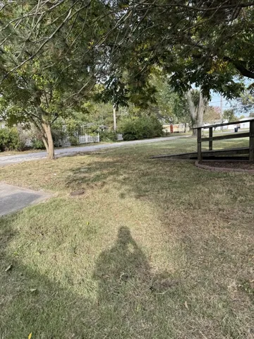 780
