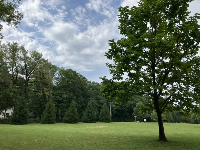 780