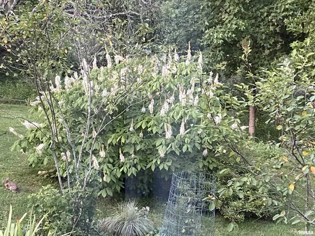 780