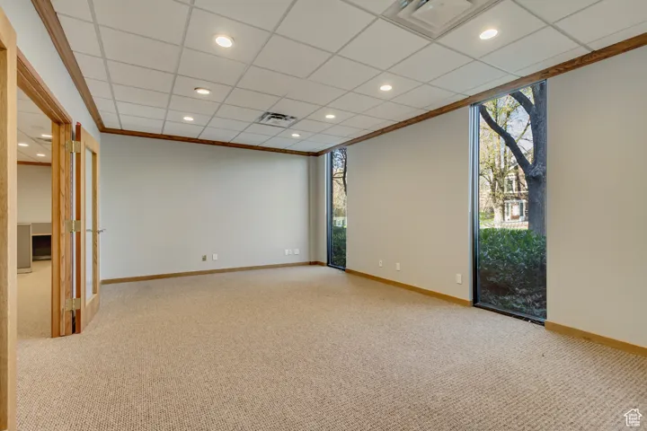 Spare room with carpet floors, visible vents, baseboards, and a wealth of natural light