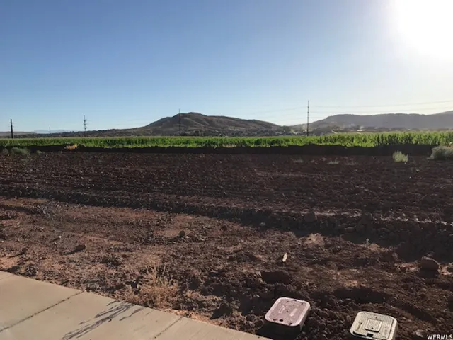 Unit 8, Washington, Utah 84780
