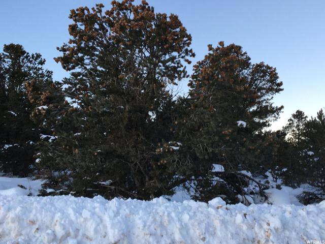 , Fruitland, Duchesne County, Utah 84027, USA