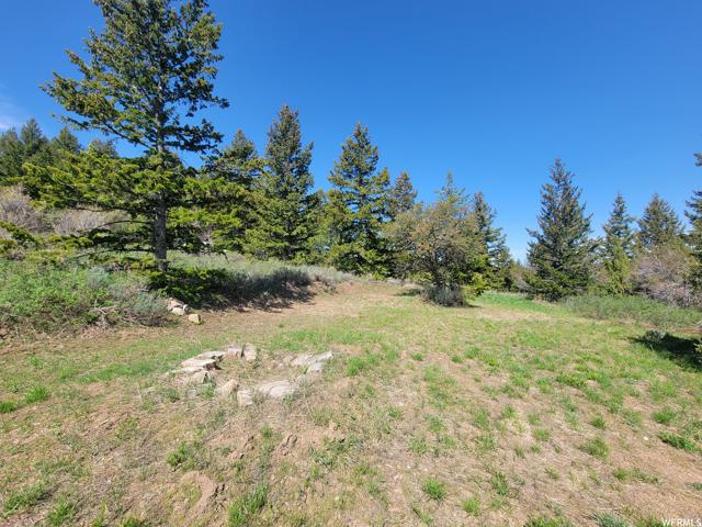 00 BARE GROUND